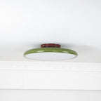 Médaillon Plafonnier LED Rond – disque vert à fixation brune, vue de face