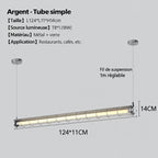 Tubia Suspension Tube en Verre Style Industriel – Tube simple, Argent